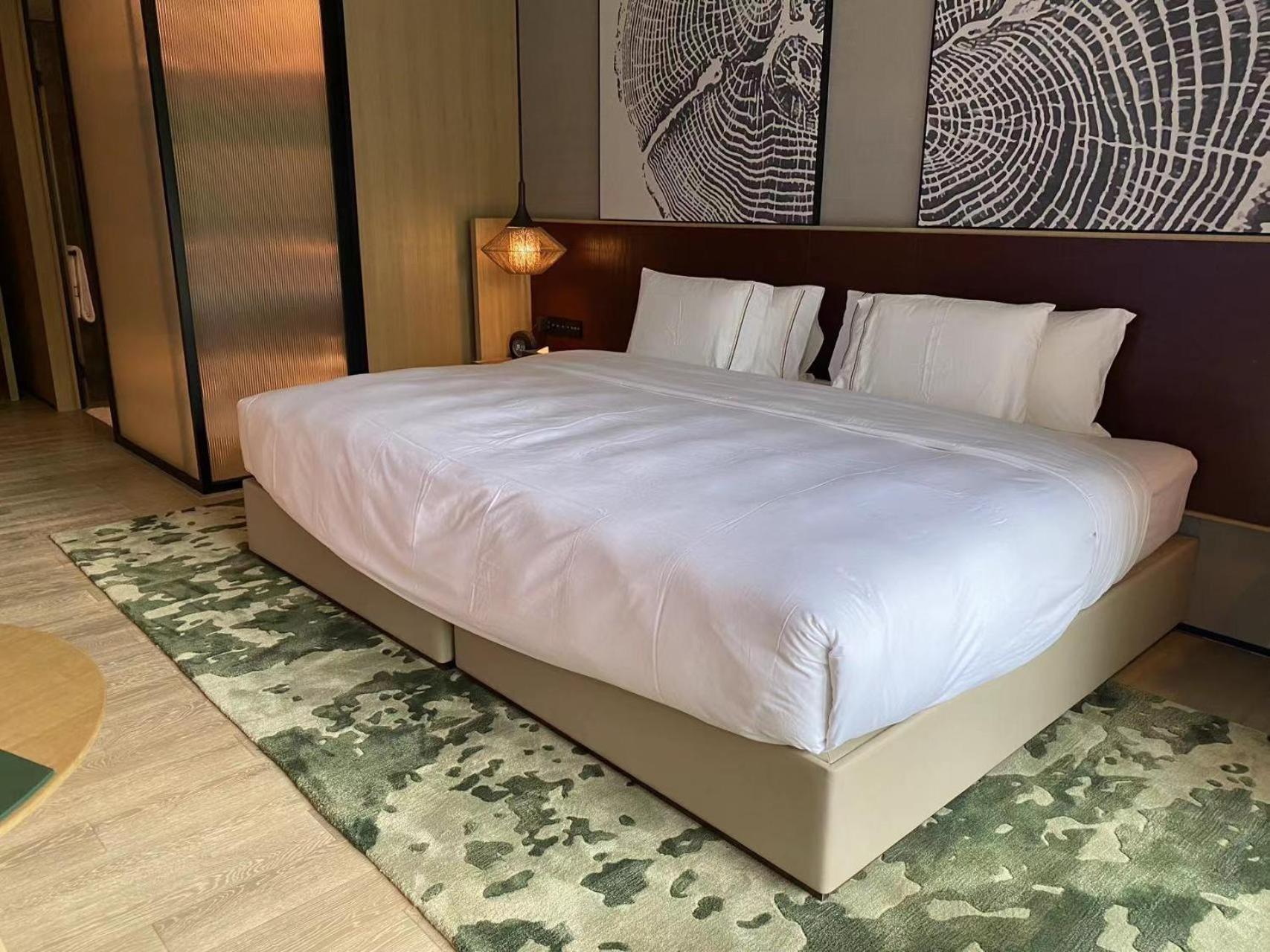 Hotel Melia Chongqing Extérieur photo